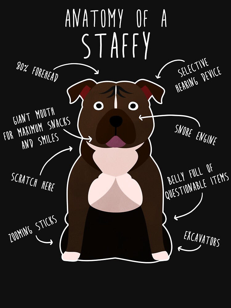 Staffordshire Terrier Staffy Anatomy by Clara Hollins