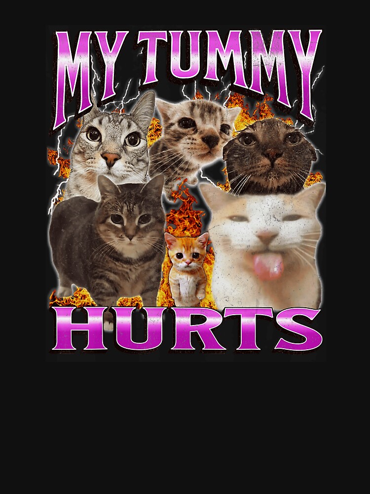My Tummy Hurts Funny Cat Meme Chaotic Humor by tadmercado