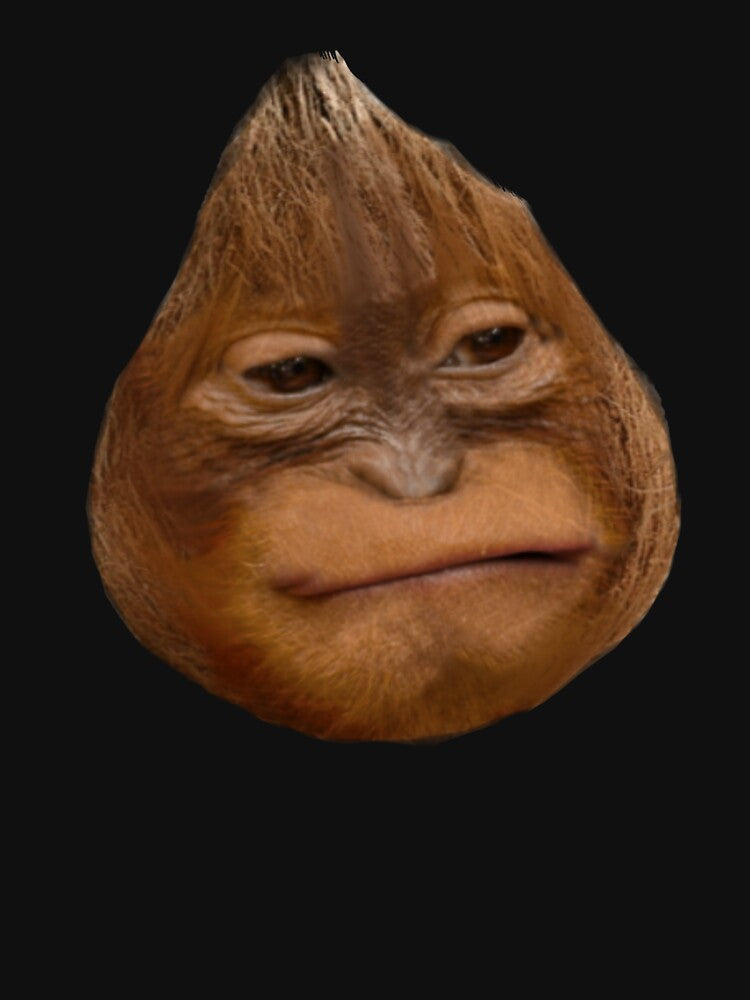 Coconut Orangutan by ProducePrimates