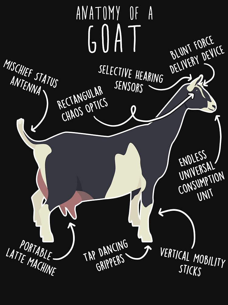 Sable Goat Anatomy by Clara Hollins