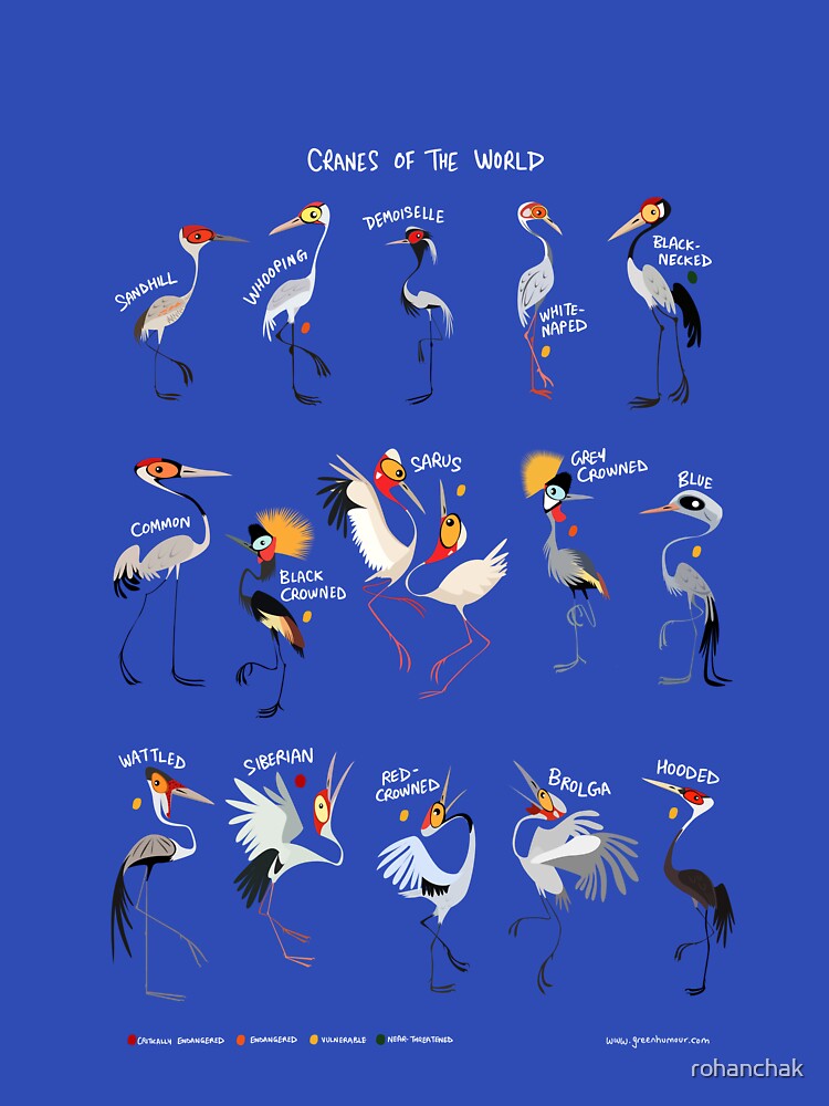 Cranes of the World by Green Humour