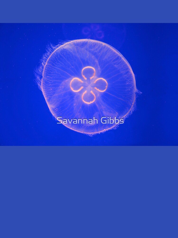 Jellyfish by Savannah Gibbs