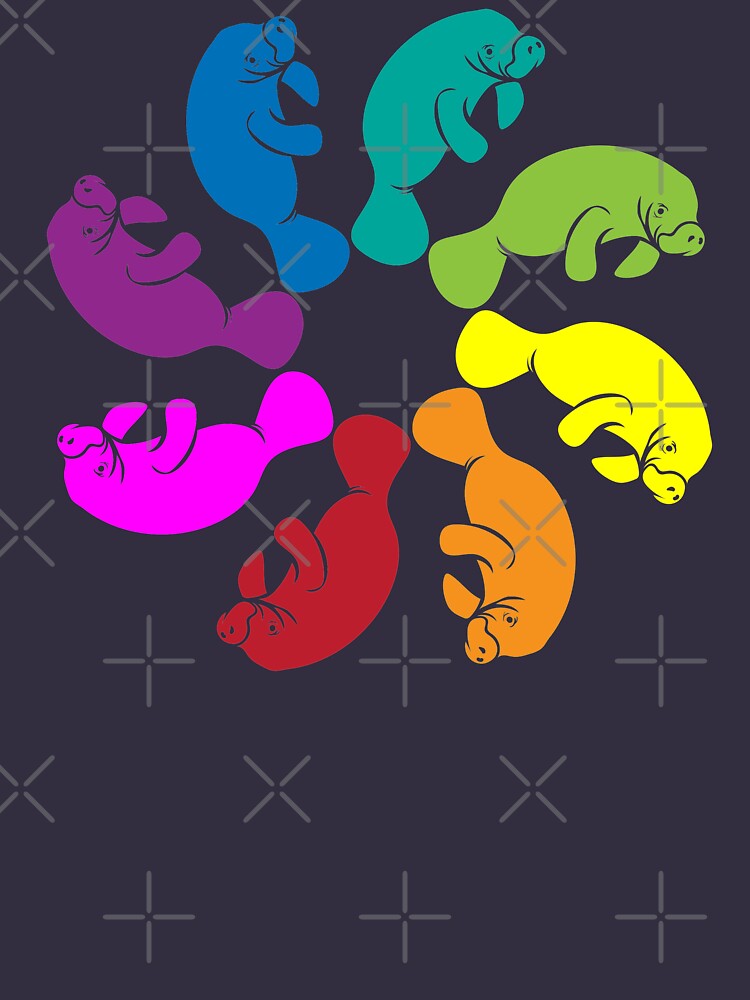 Color: Manatee Rainbow Pinwheel by Peppermint Narwhal