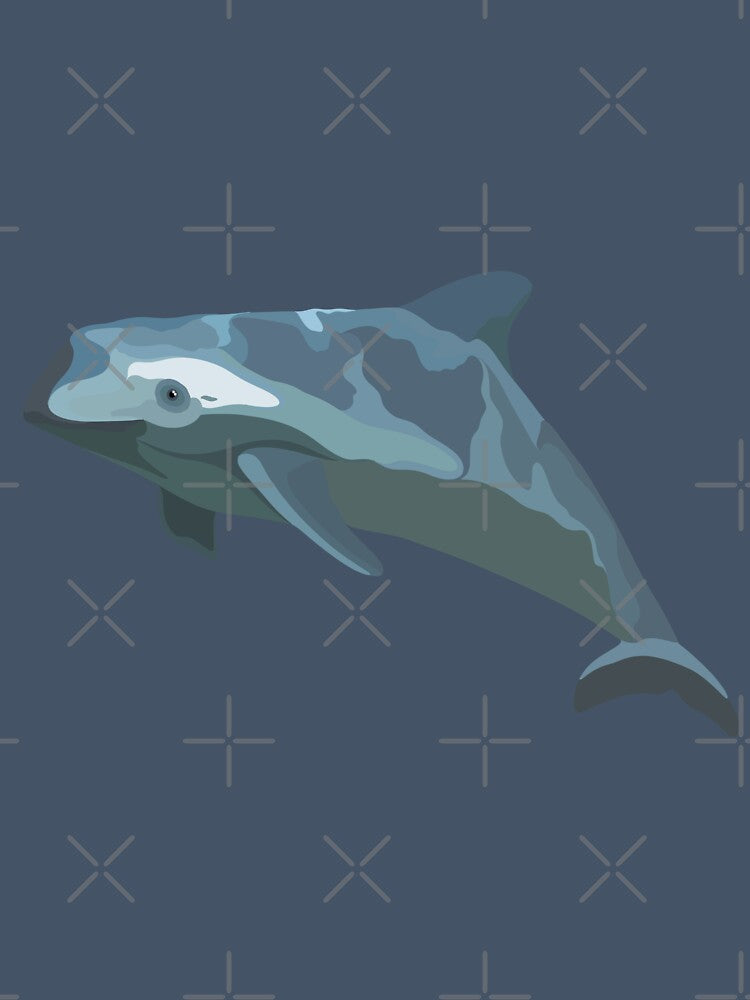 V is for Vaquita,Vaquita Artwork – Rare Marine Mammal Illustration and Endangered Species Design by PrettylittlepastelUk
