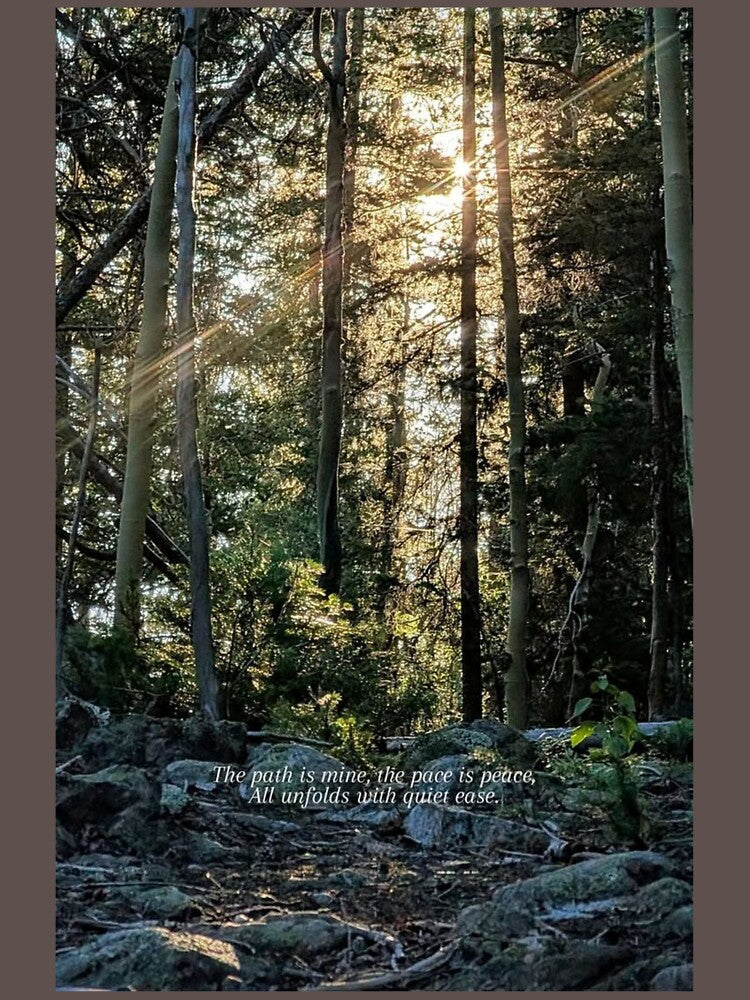 A Jungle of Quiet Alignment by Real Pro. Designs