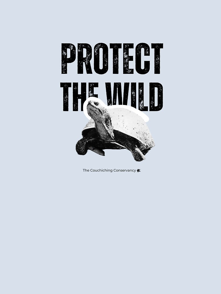 Protect the Wild- Turtle by Couchiching Conservancy