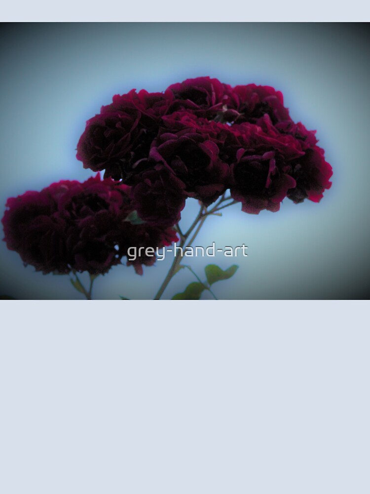 Dark red roses by grey-hand-art