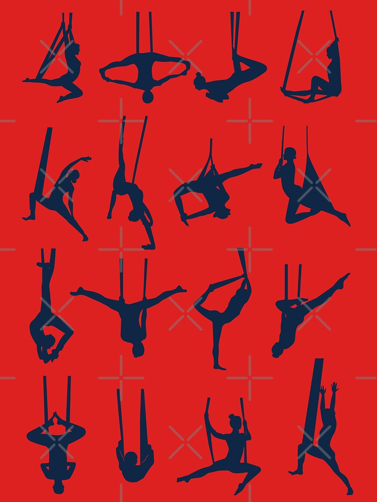 Aerial Yoga Poses by trendingatees