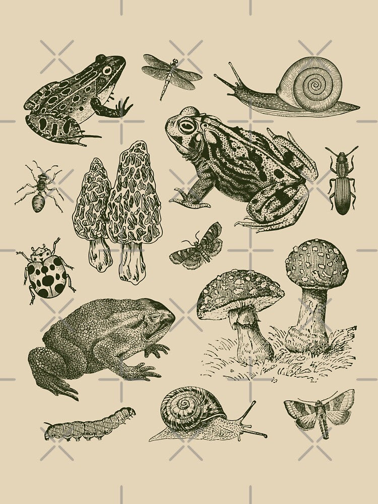 Goblincore Nature Lovers: Vintage Biology of Frogs, Mushrooms, Snails, and Moths for Science and Natural History Fan by MinistryOfFrogs