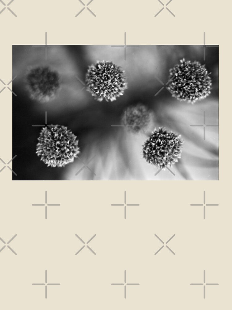 Artistic photo analogue photography flowers greyscale by fotopan