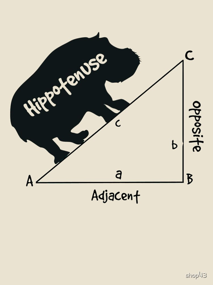Funny Math Humor Hippotenuse Hypotenuse Funny math by shop43