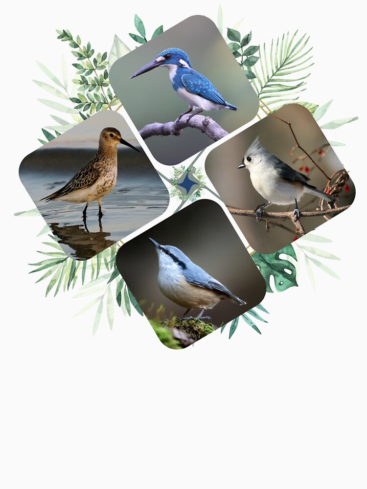 Winged Worlds: Exploring Diversity in Avian Life by Pixelpluse