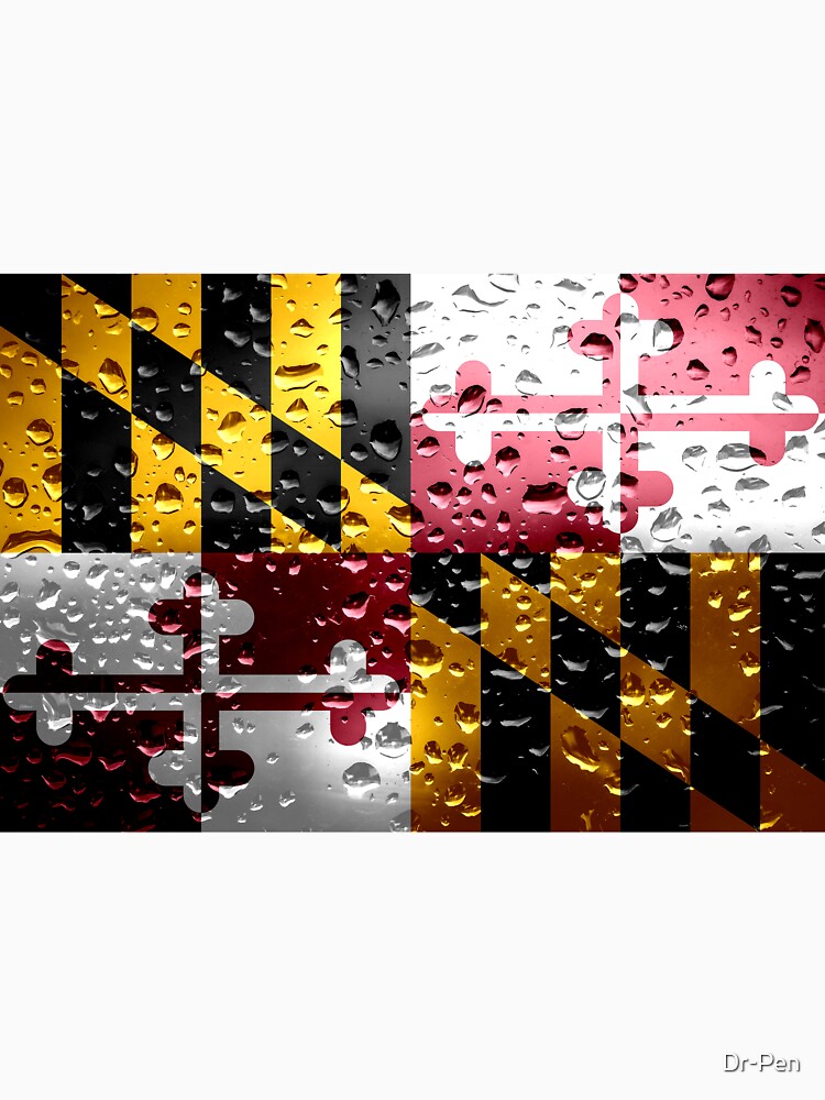 Rain Flag of Maryland by Dr-Pen