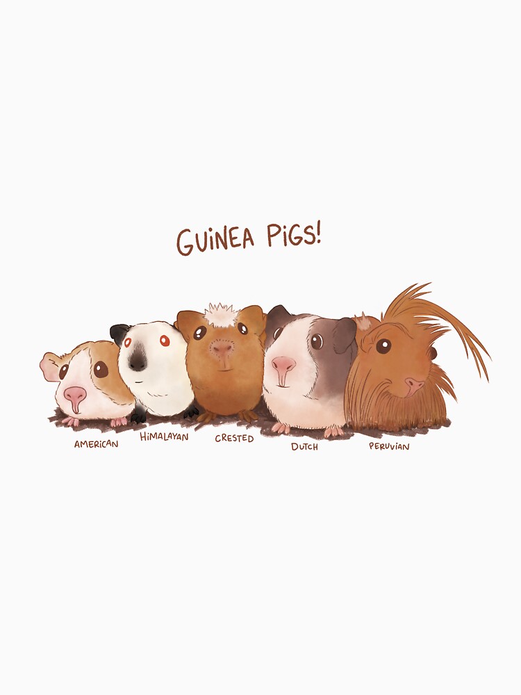 Guinea Pigs by Brittany Hefren
