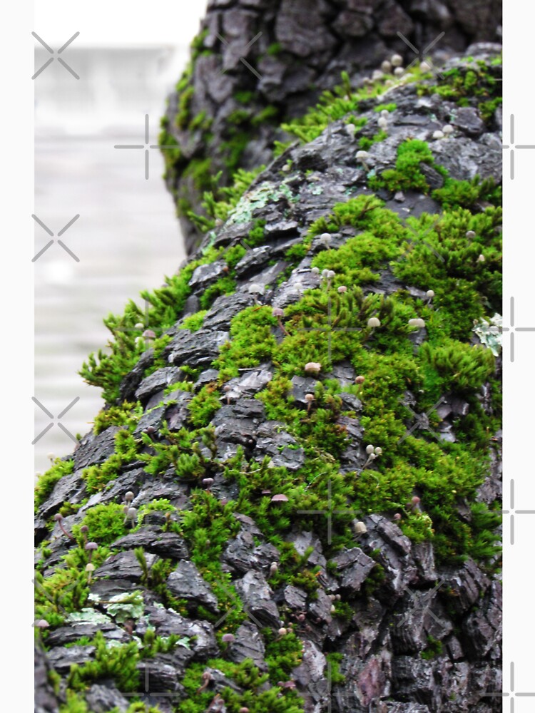 moss by That-ArtGirl