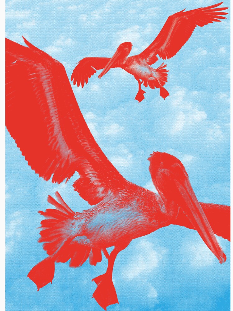 Sky Pelicans by Ruizydiabz