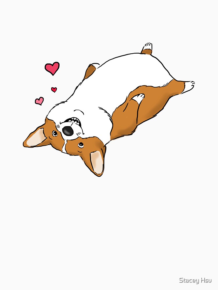 Playful Corgi, Funny Corgi, Corgi Belly by Furkid Studio
