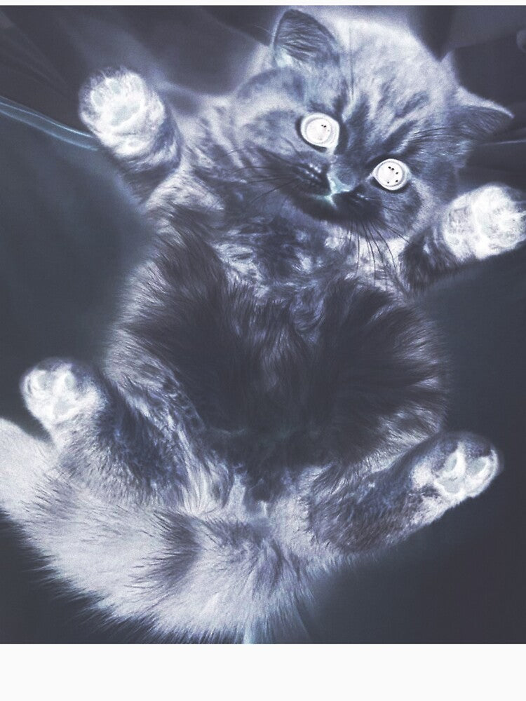 HeavenlyKitty – Ethereal Angelcore Cat with Celestial Glow by Небесный котенок