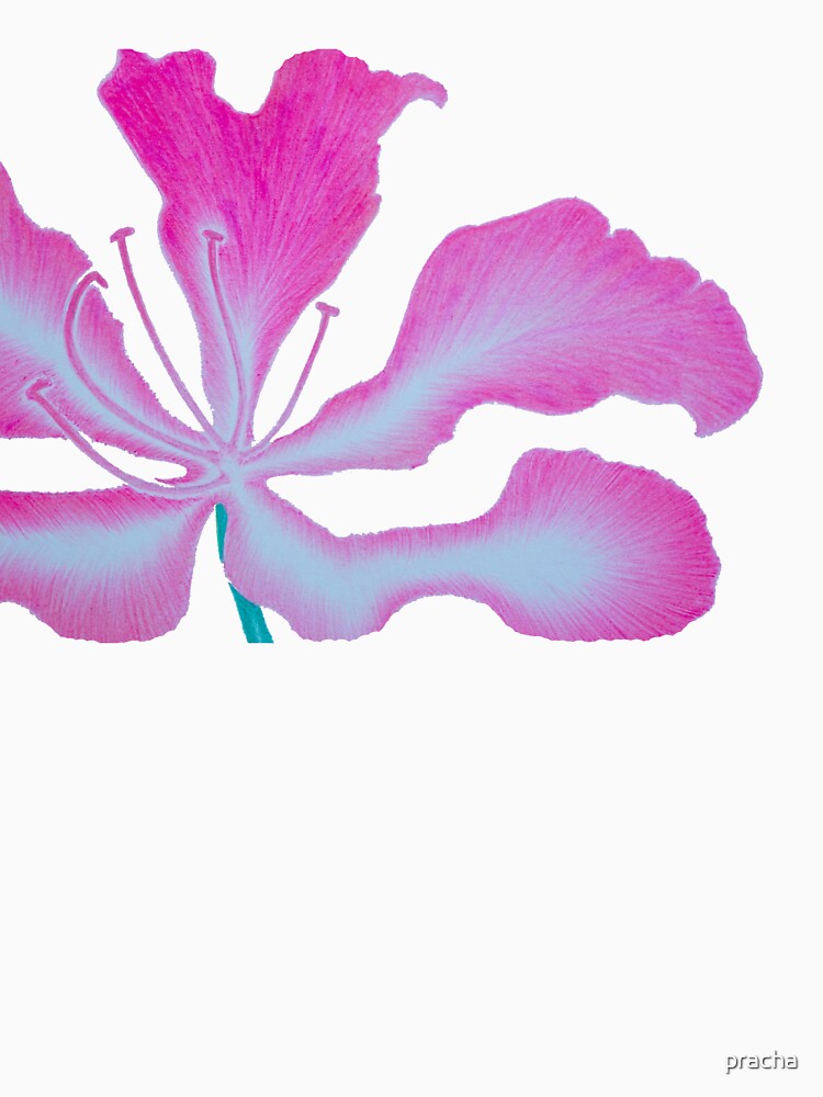 Pink flower 4 by pracha