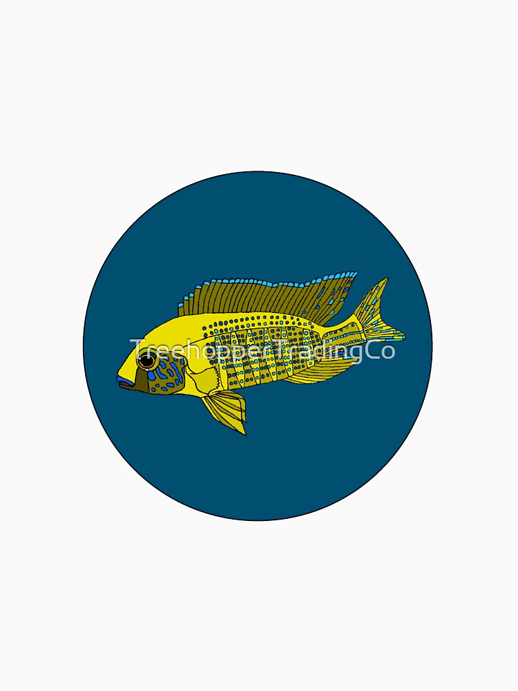 New Yellow Regal Cichlid by TreehopperTradingCo
