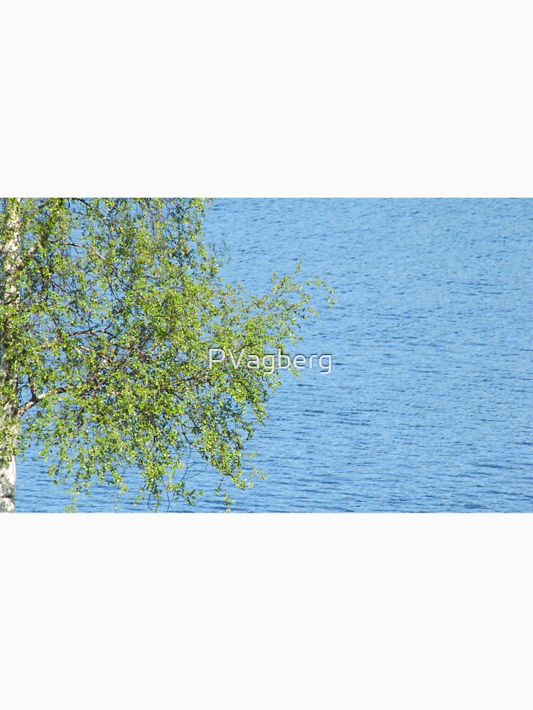 birch bunch of leaves the lake in the background by PVagberg