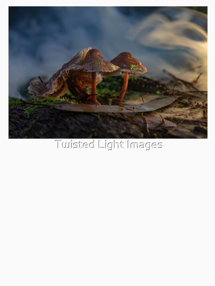 Glowing Mushrooms Beneath the Canopy by Twisted Light Images
