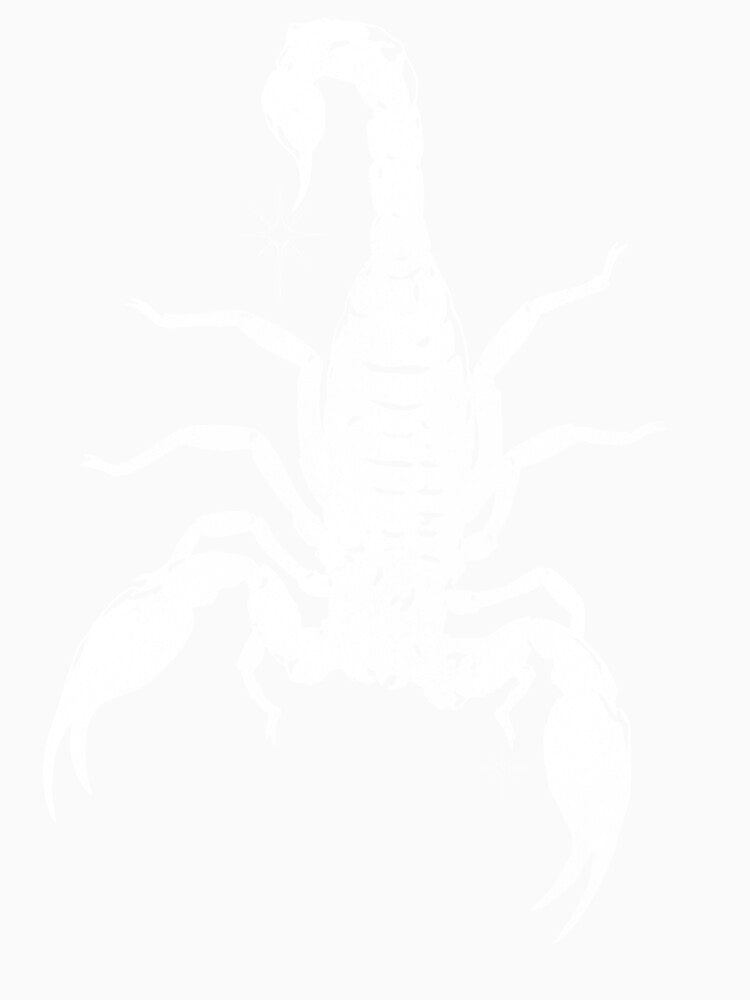 Retro Weathered Scorpion Goth Drawing by Arcane Orchid