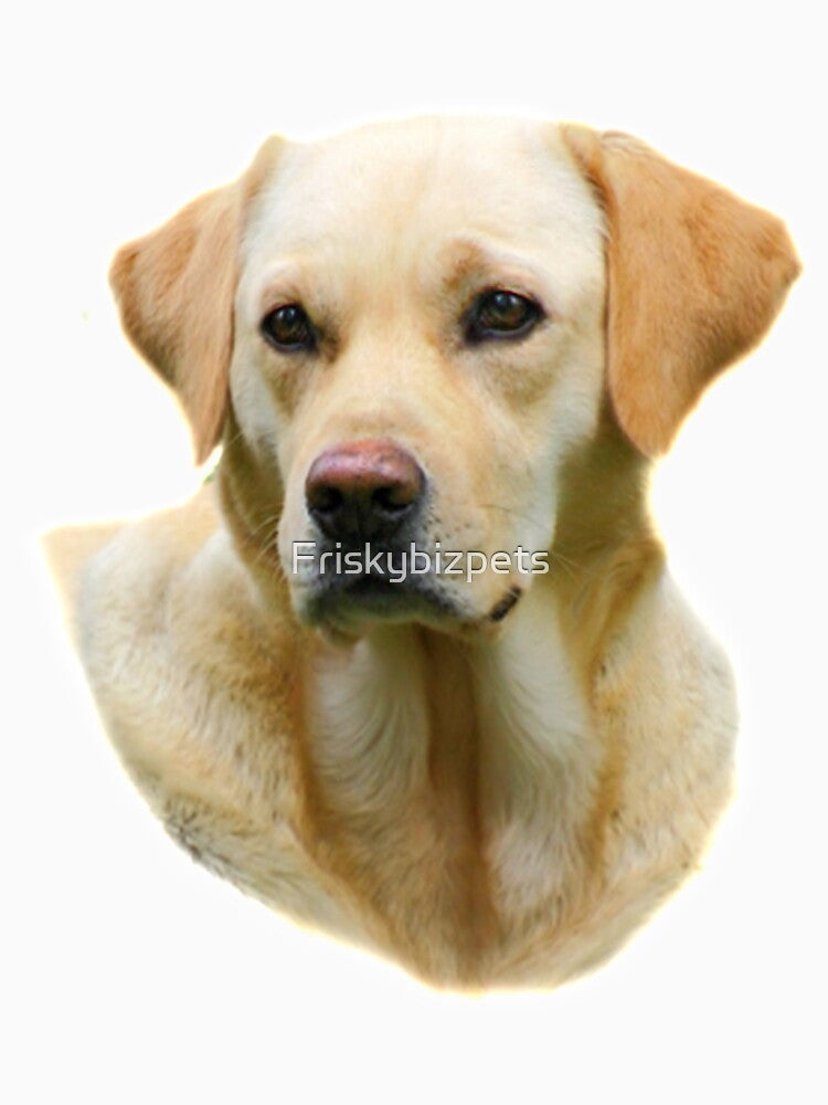 T-SHIRT HANGOVER II 2 Yellow Lab Dog THE REAL ONE zach galifianakis by Friskybizpets