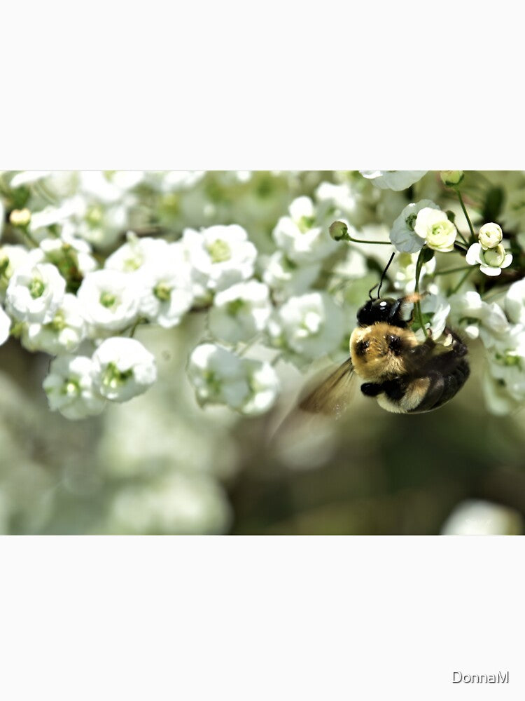 Bee Kind by DonnaM