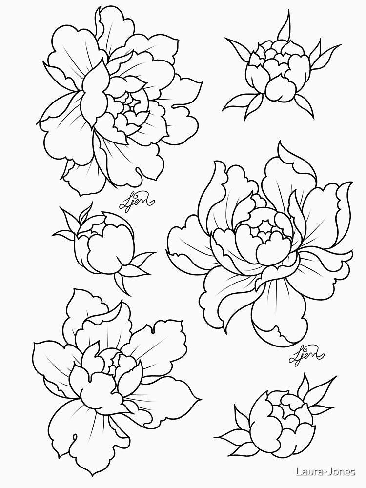 Peonies by Laura-Jones