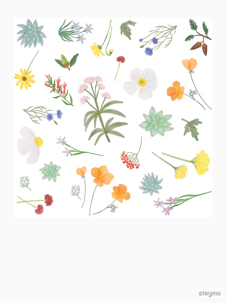 Native plants and flowers of California by steymo