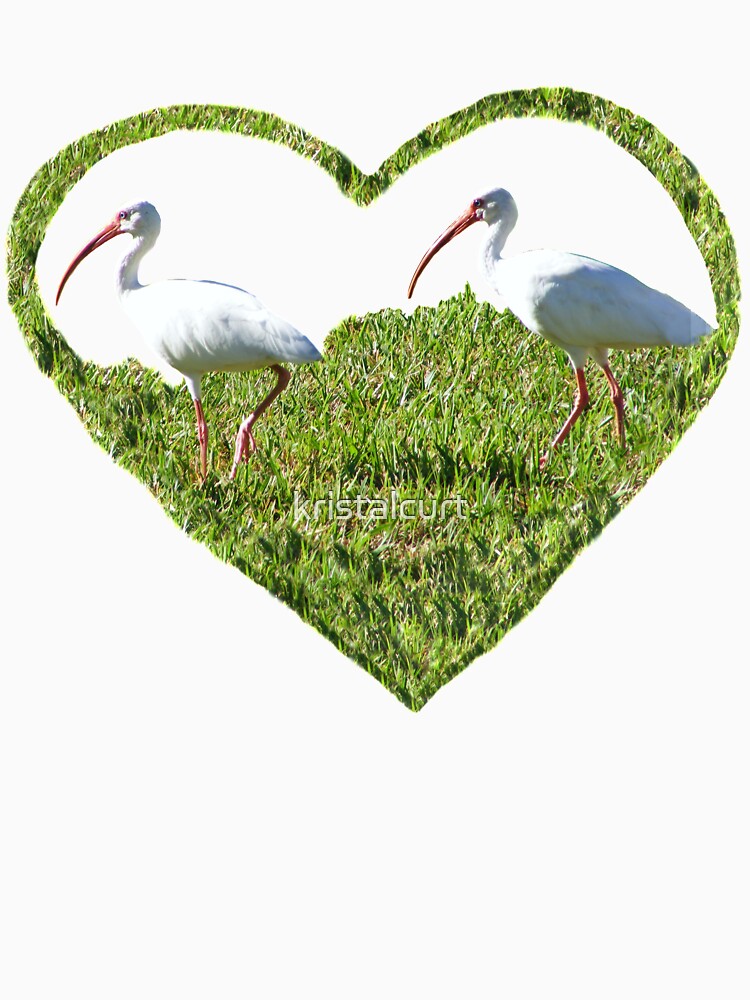 Ibis Heart by kristalcurt
