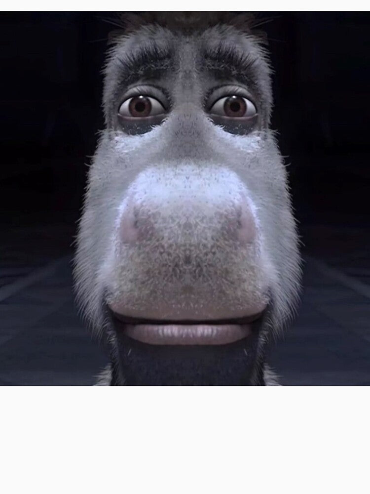 Donkey Stare Meme Shrek Funny 1000 yard stare by Neesu