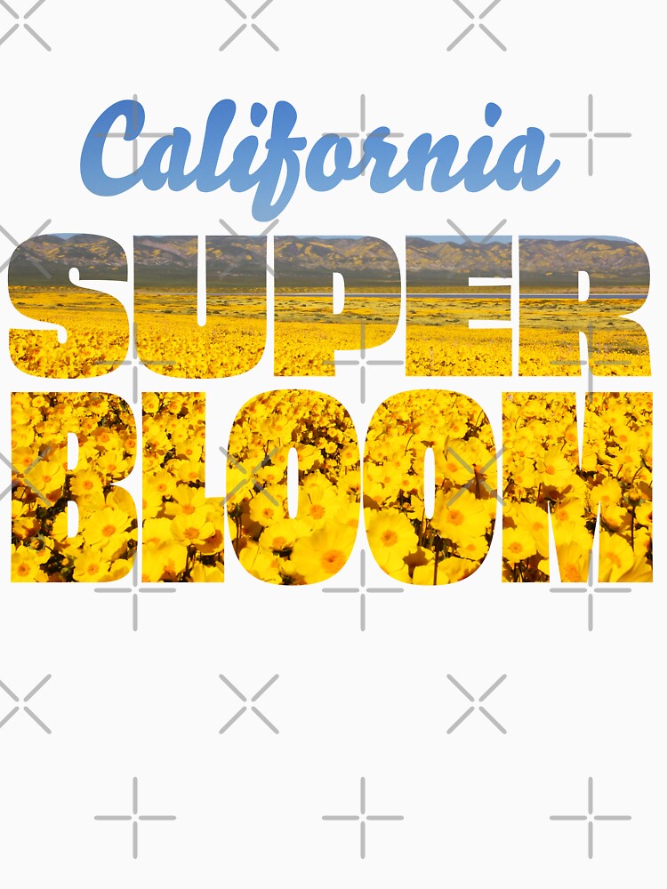 Superbloom - Carrizo Plain by MH65Designs