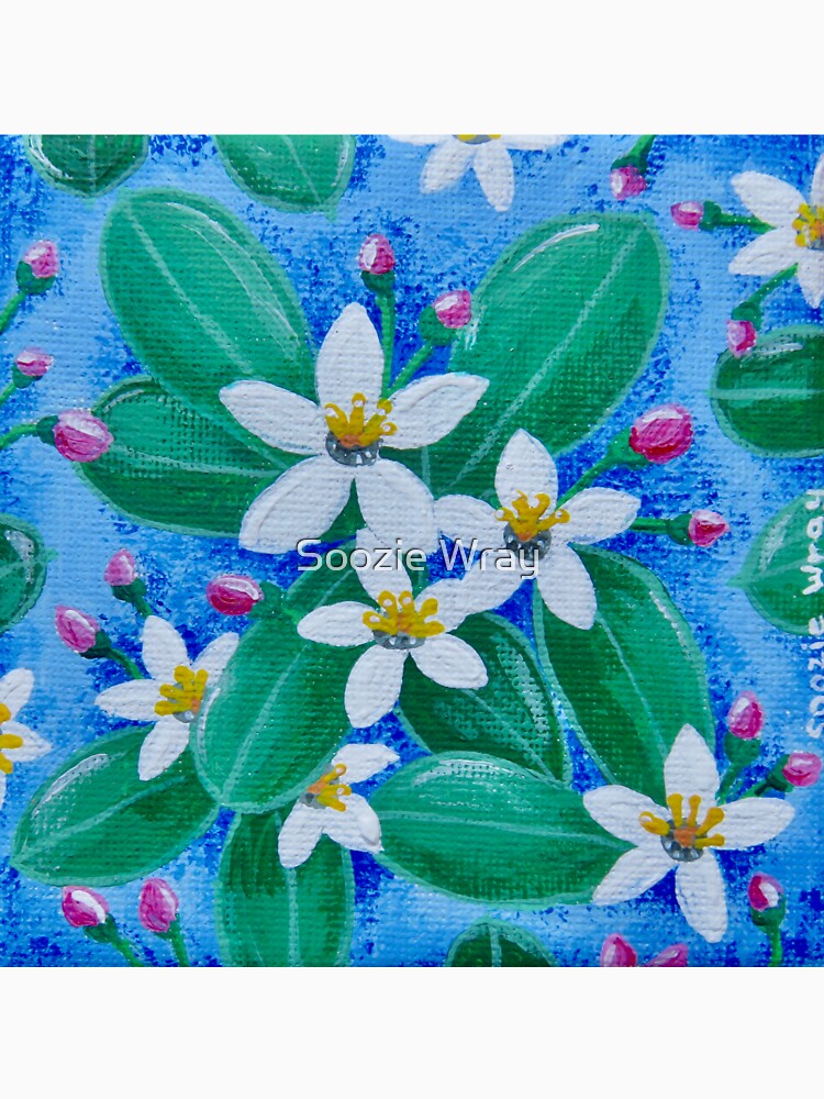 Australian Mountain Wax-Flower by Soozie Wray