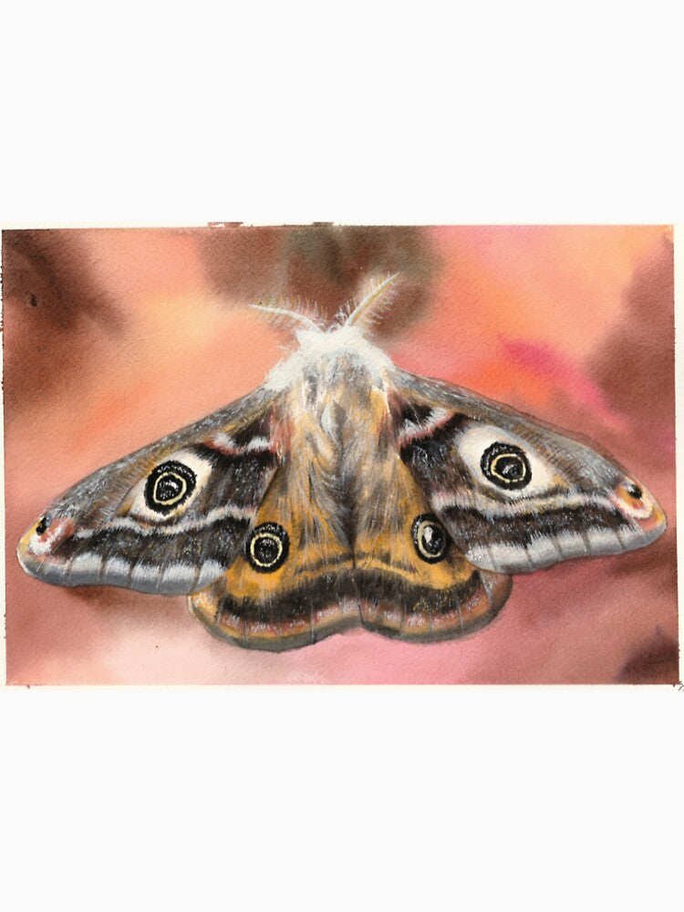 Emperor Moth Watercolour Painting by Bexter97