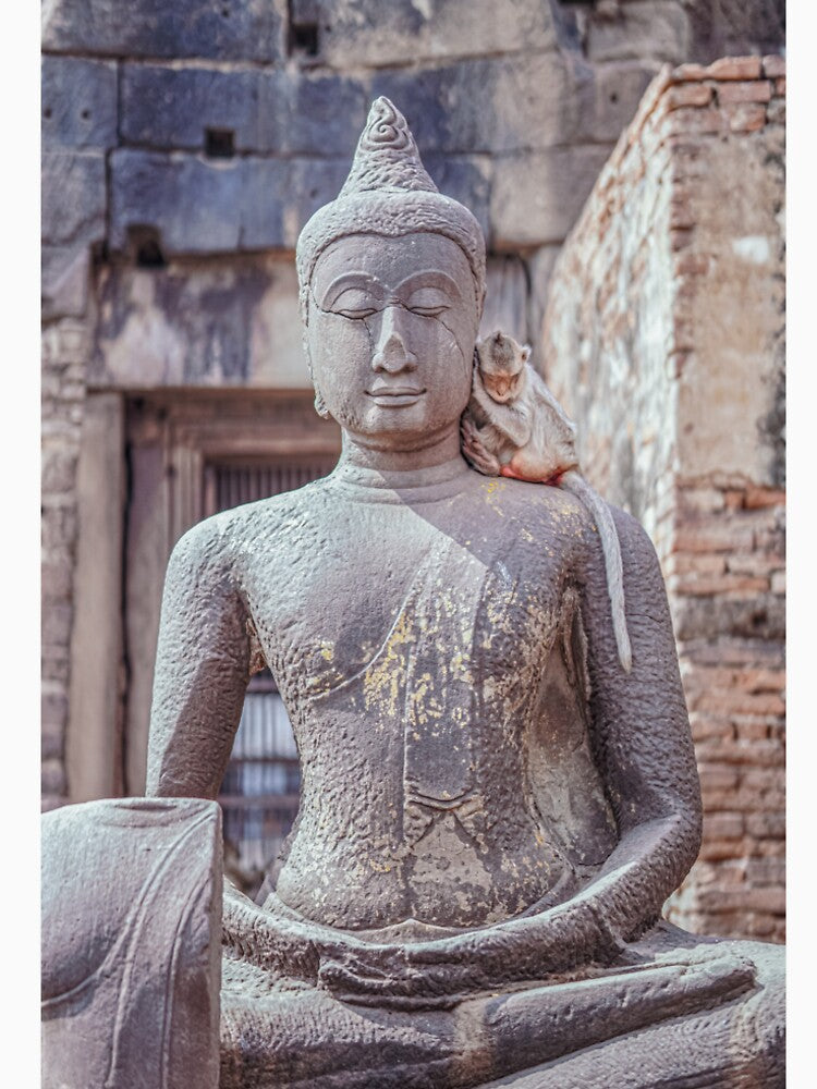 Sleeping Monkey on Buddha's Shoulder Lopburi Thailand by Jomsunshine