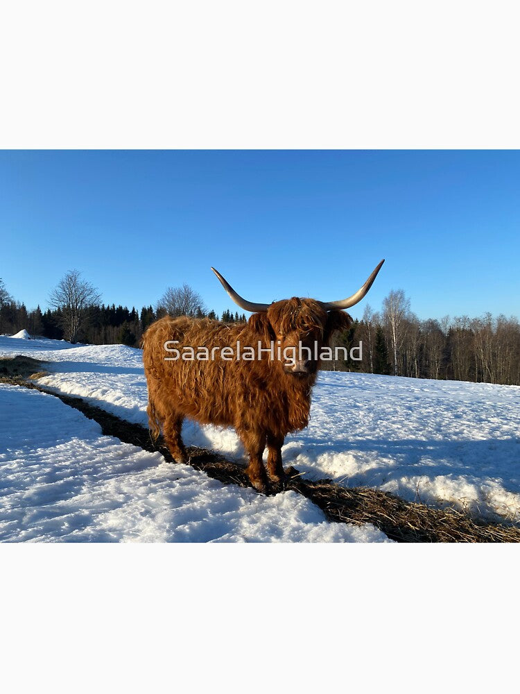 Scottish Highland Cattle Cow 3248 by SaarelaHighland