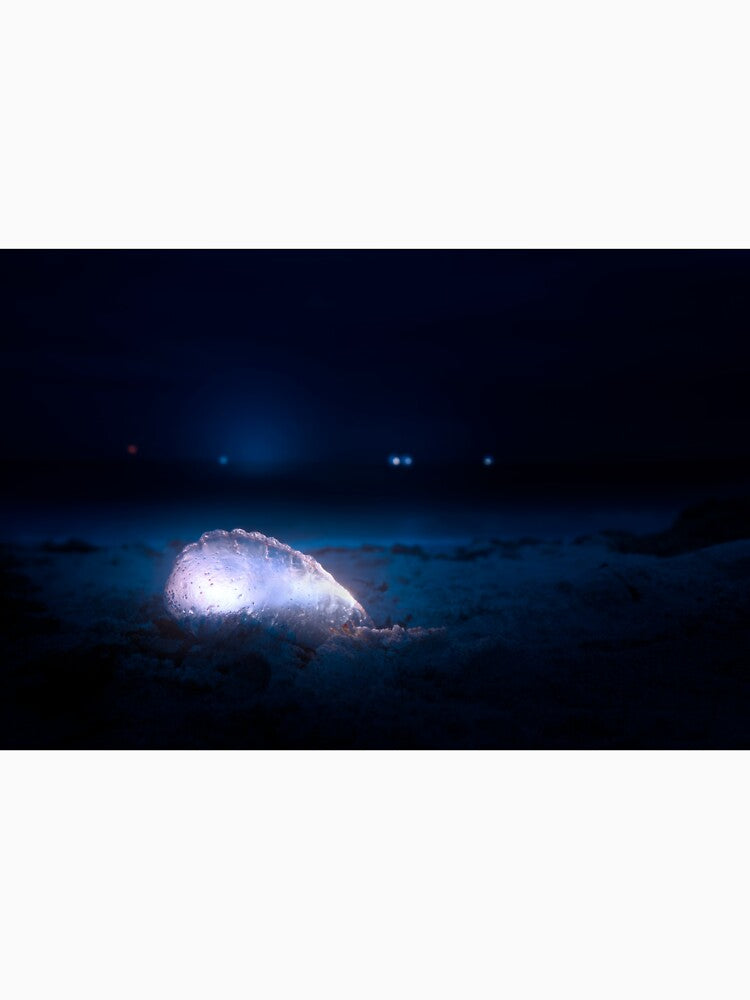 Man O' War On The Beach by VisualVoyages