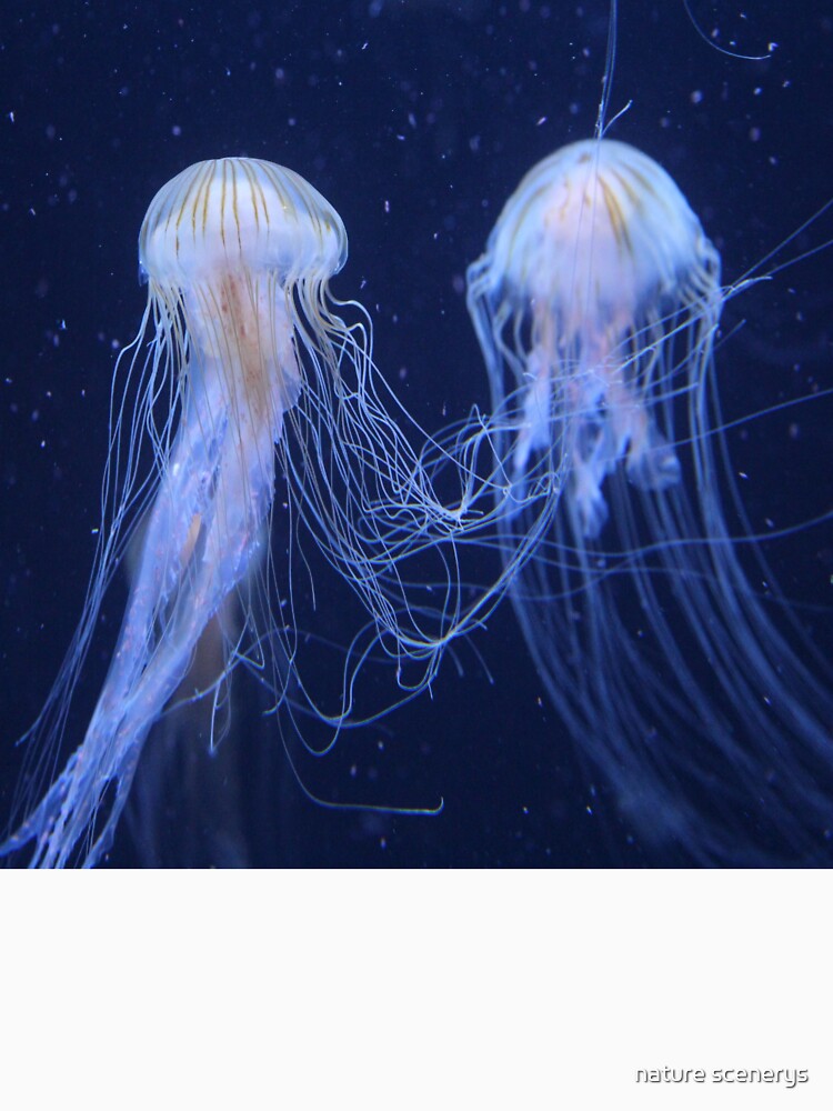 jelly beauty by nature scenerys