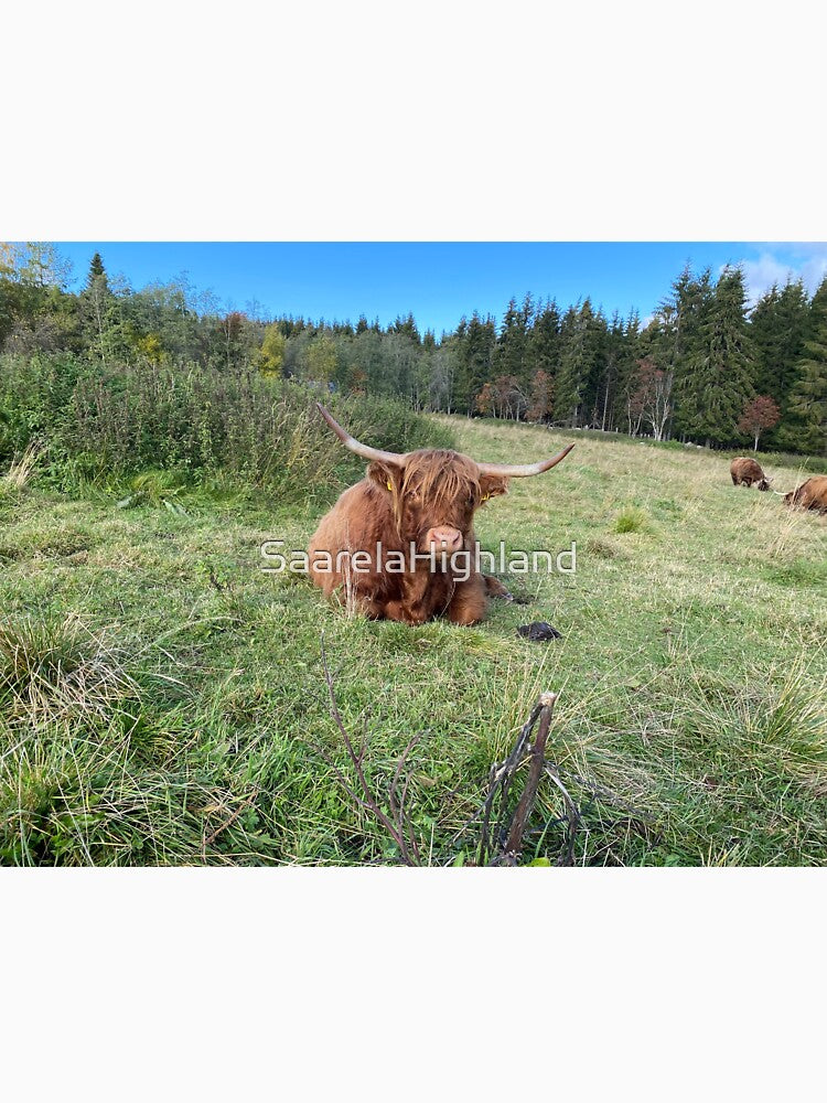Scottish Highland Cattle Cow 2999 by SaarelaHighland