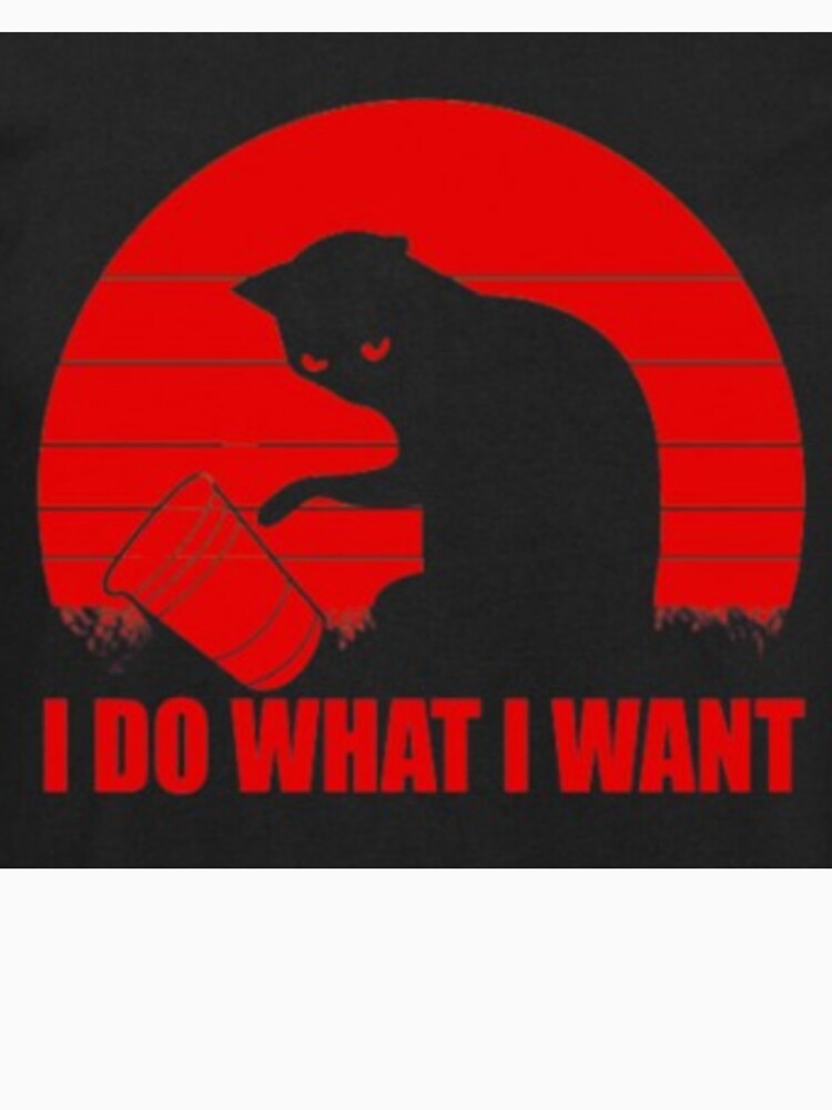 I Do What I Want Printed T-Shirt by storeInsight