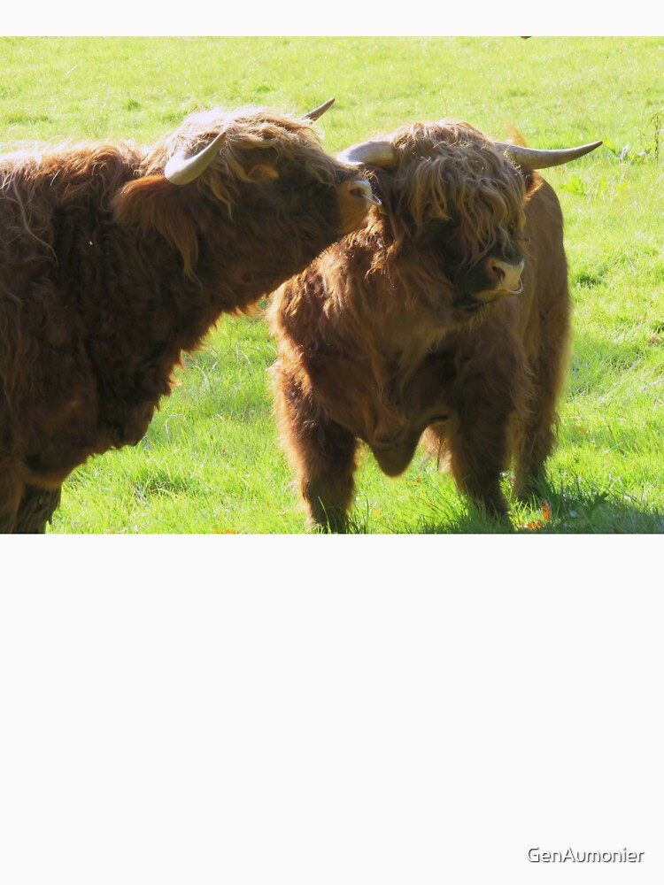 Highland Bulls - Photograph by GenAumonier