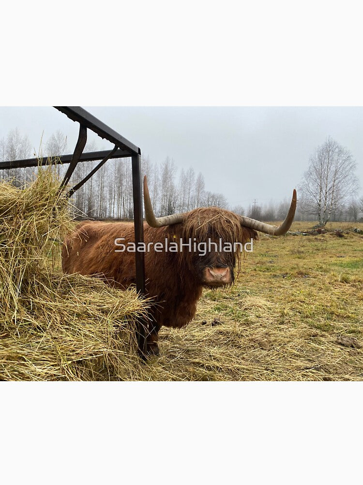 Scottish Highland Cattle Cow 3060 by SaarelaHighland