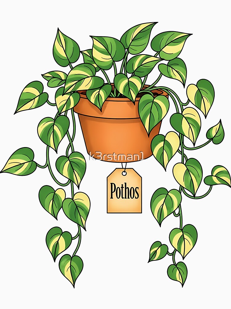 Pothos Variegated Houseplant Plant Parent Design by k3rstman1
