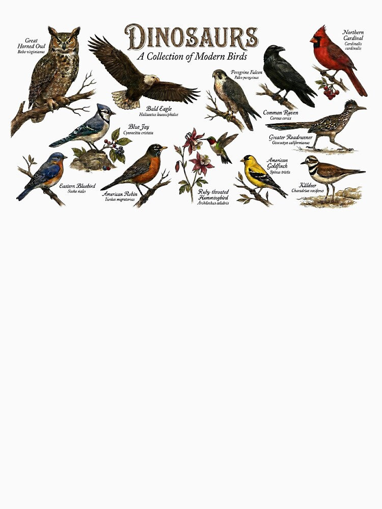 Dinosaurs: A Collection of Modern Birds - Vintage Field Guide by orioleoutdoor