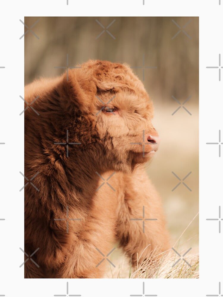 Fluffy Scottish Highland Calf by Melissa Peltenburg