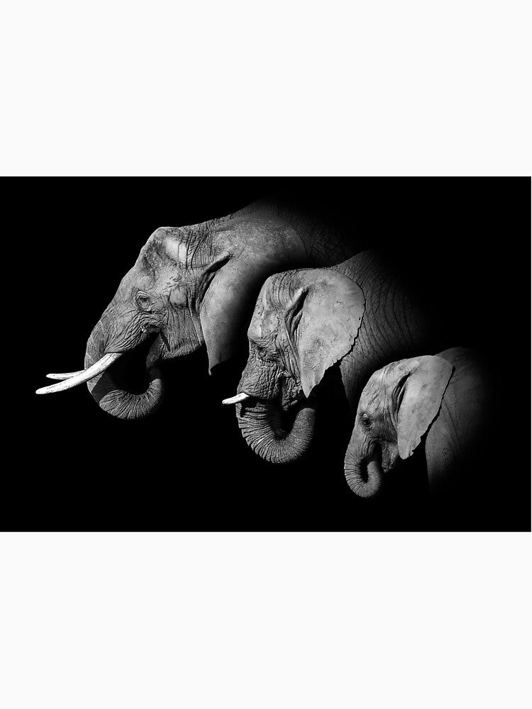 Elephants by Conservation Art Emporium