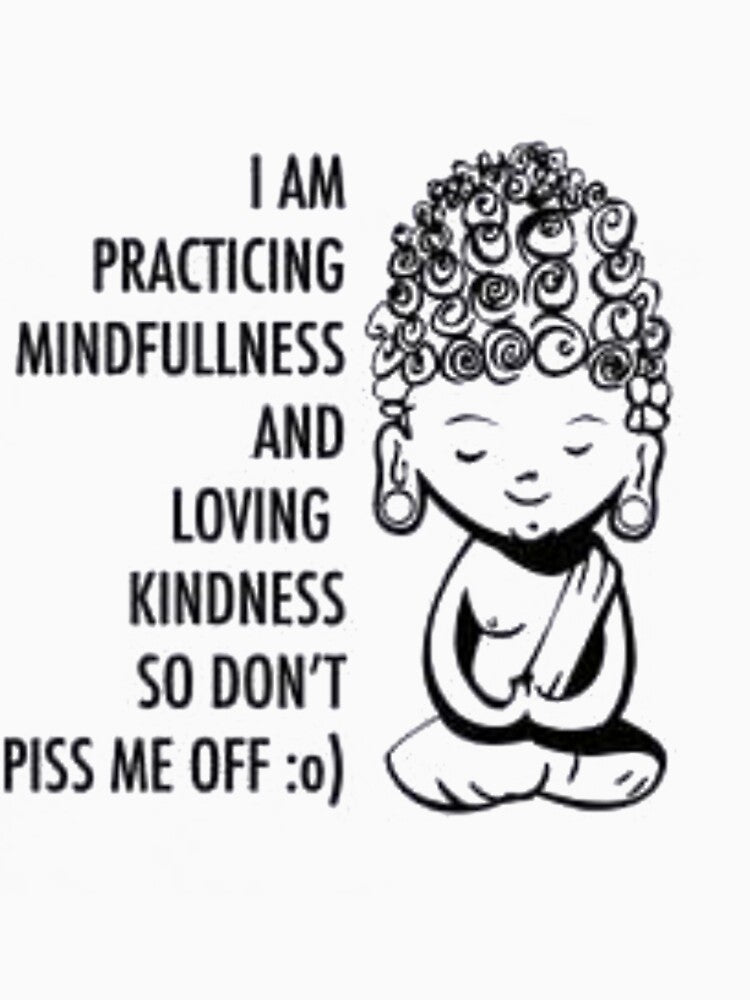 I AM PRACTICING MINDFULLNESS AND LOVING KINDNESS SO DON'T PISS ME OFF:o the shirt by store-201