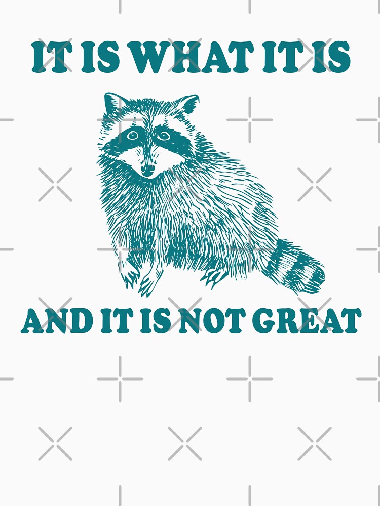 It Is What It is And It is Not Great Raccoon Meme by fomodesigns